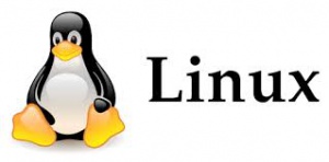 В ядре Linux обнаружена уязвимость, приводящая к «отказу в обслуживании»