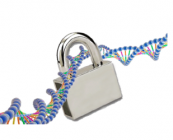 Genopri 2015 — 2nd International Workshop on Genome Privacy and Security